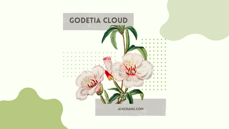 GODETIA CLOUD 机场