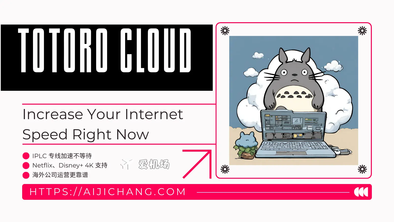 TOTORO CLOUD 龙猫云机场官网 