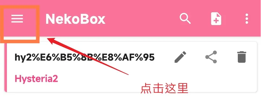 NekoBox 开启分流前进入菜单